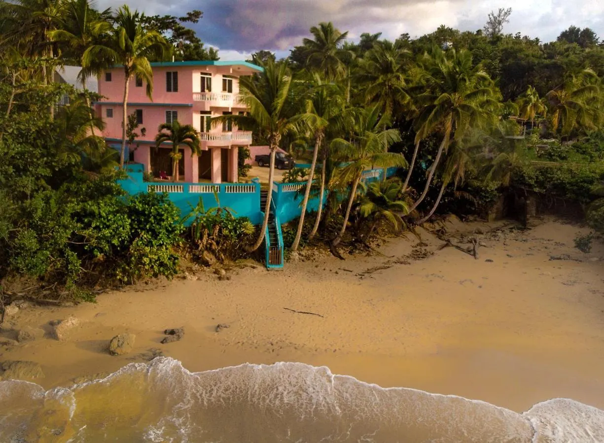 Pools Beach Guesthouse & Apartments Rincon