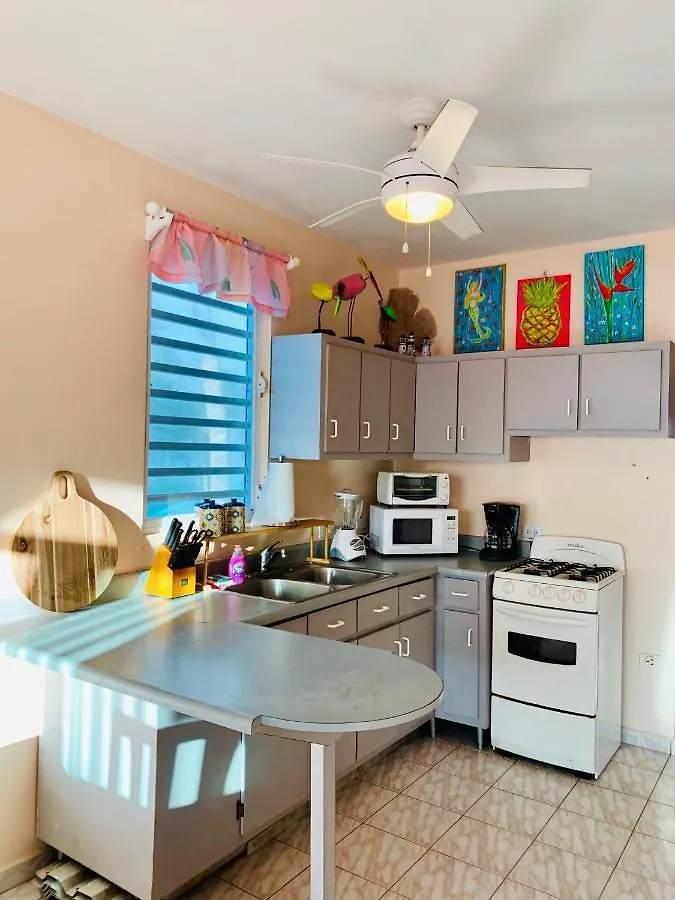 Pools Beach Guesthouse & Apartments Rincon Puerto Rico